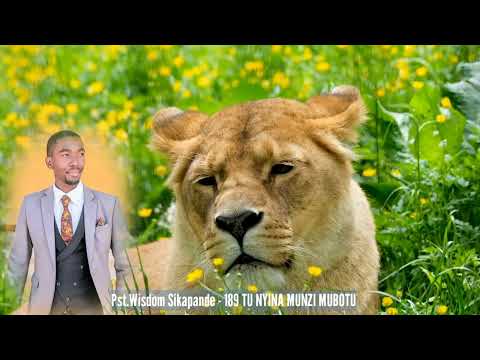 Heavenly Tonga Hymns SDA Church Hymn version