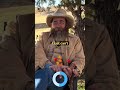 As An Ex Cop There S Two Rules CowBoy Wisdom Dry Creek