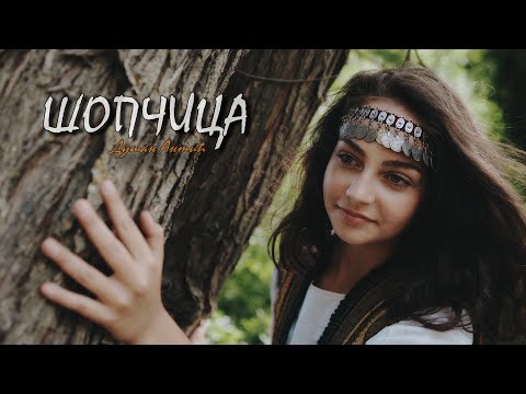 Dušan Antić - Šopčica