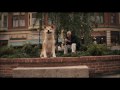 Hachiko: A Dog's Story (my clip) 