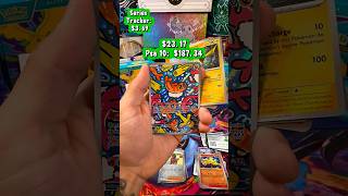 Pokemon Profit or Loss S2E2! Knockout collection! #pokemon #tcg #cards #meme #unboxing #asmr