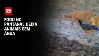 Miniatura do vídeo