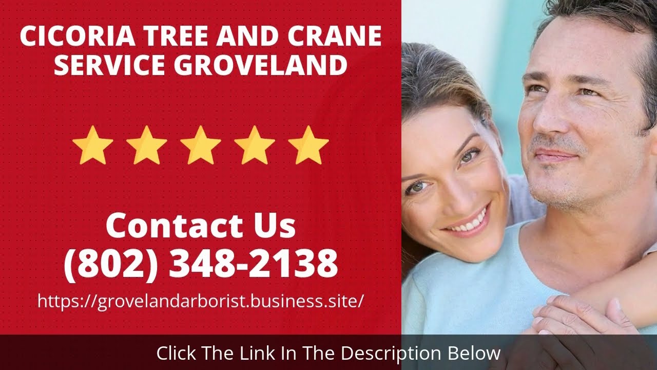 Single Video thumbnail