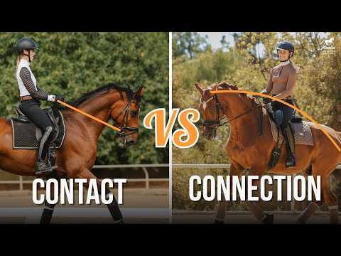 Contact is Not Connection: The Missing Piece in Your Dressage Riding