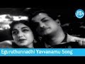 Dorikithe Dongalu Movie Songs Eguruthunnadhi Yavvanamu Song Saluri Rajeswara Rao Songs