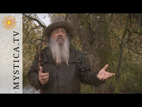 Dr. Wolf-Dieter Storl - The Willow | MYSTICA.TV