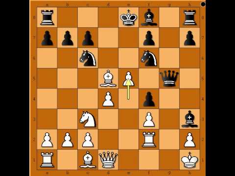 Komentar vaših zanimljivih partija - Damir Salibašić # 647