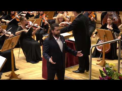 Nessun dorma - Teodor Ilincai