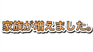 新しく家族が増えました。