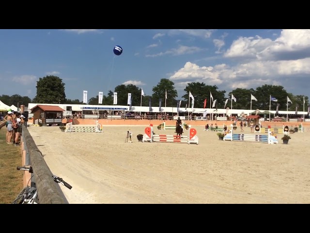 Poney D - Fugue du Bruyeras - 10 ans