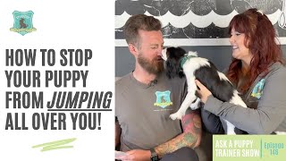 How to Stop Your Puppy From Jumping All Over You! | AAPTS Ep. 146