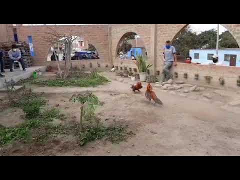 GALPÓN SAN MARTÍN - CHANCAY