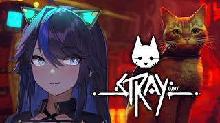 [Vtub] kson總長 Stray 20220720