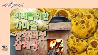 [나는농부다 289회] 아내를 위한 가마솥 상황버섯 삼계탕