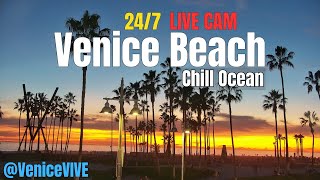 Venice Beach LIVE CAM 24/7 | Sunset🌅 & Surf Vibes 🌊 | Boardwalk, Plaza & Ocean View 4K live webcam