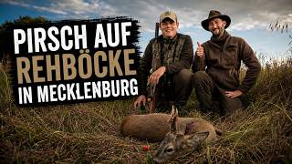 Pirsch auf Rehböcke in Mecklenburg Vorpommern