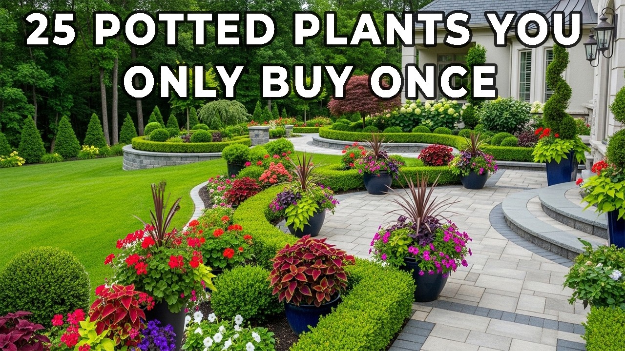 25 Shocking Container Plants That Actually Refuse To Die: Number 1 Will Blow Your Mind!