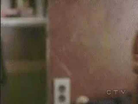 I Gotta Go My Own Way - Palex