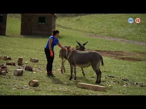 Love me, Love me - Stanka a Dávid - Farma 13