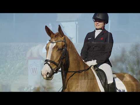 08 Royal Touch Stute v. Royal Classic II - Westernhagen