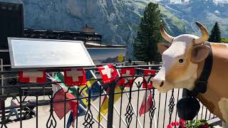 [FULL REVIEW & WALKTHROUGH] Hotel Eiger Mürren | Luxury Hotel 4K Tour with Crazy