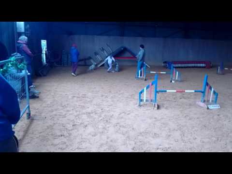 Jessica with Taz, Target Agility Christmas Party 2016