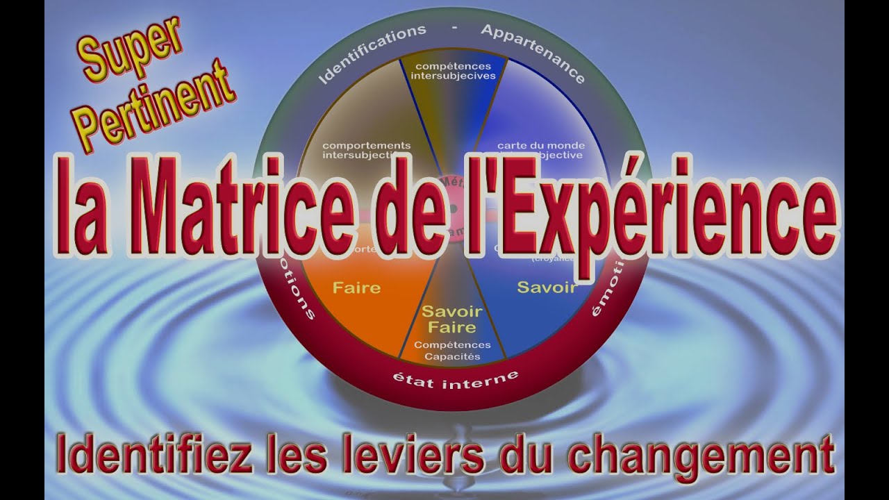 La Matrice de l'Expérience : Un modèle PNL nouveau et innovant pour le coaching et la thérapie