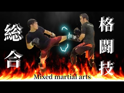 総合格闘技編‼️打撃クラス👊の巻〜☺️✌️Mixed martial arts🥊