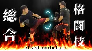 総合格闘技編‼️打撃クラス👊の巻〜☺️✌️Mixed martial arts🥊