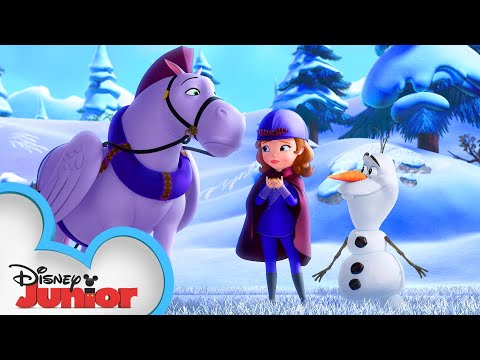 歐拉夫和奈特爾小姐|索菲亞一世|迪士尼少年版 (Olaf and Miss Nettle | Sofia the First | Disney Junior)