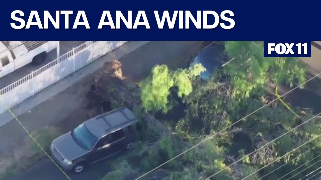Santa Ana winds concerns draw red flag warning