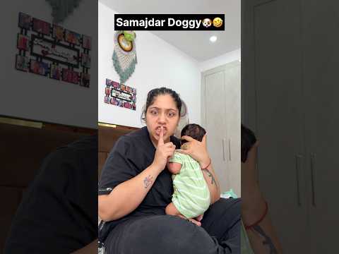 Samajdar Doggy🐶🤣 #roycesharma #hcpk