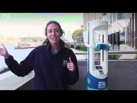 ZSL's Thames VR Experience