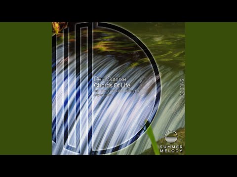 Letting Go (Original Mix)