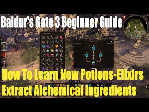 Baldur's Gate 3, Beginner Guide, How To Learn New Potions-Elixirs, Extract Alchemical Ingredients