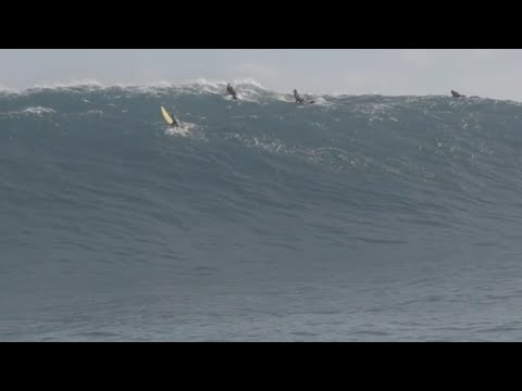 Flick Palmateer Takes On Big Cow Bombie