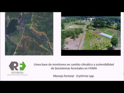 , title : 'Silvicultura y Manejo Forestal'