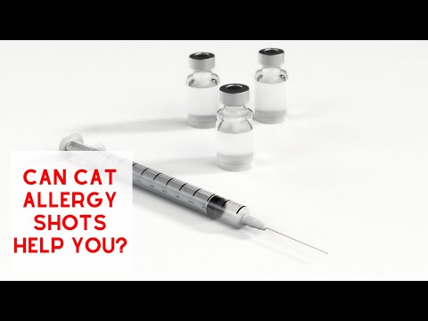 Can Cat ALLERGY-SHOTS Help you?