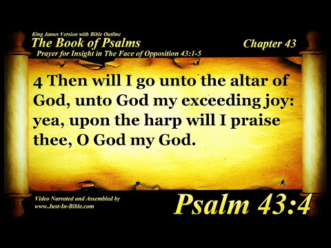 The Book of Psalms | Psalm 43 | Bible Book #19 | The Holy Bible KJV Read Along Audio/Video/Text