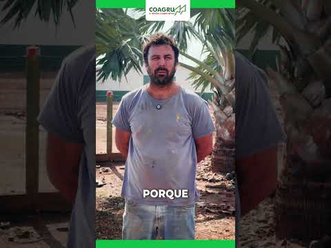 ? ? Falta de Energia na Avicultura??