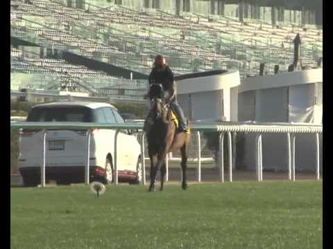 2011 Interview with Saimee Jumaat on Better Than Ever