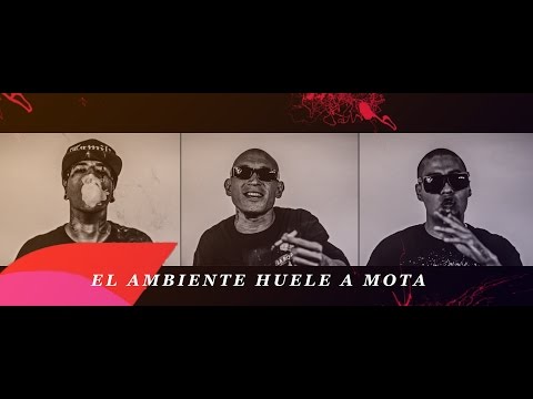 Tren Lokote FT. Zimple FT. Remik Gonzalez // El Ambiente Huele a Mota 420 // Video Oficial
