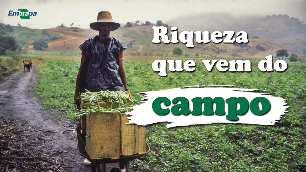 Veja como o dinheiro investido em pesquisa retorna para a sociedade