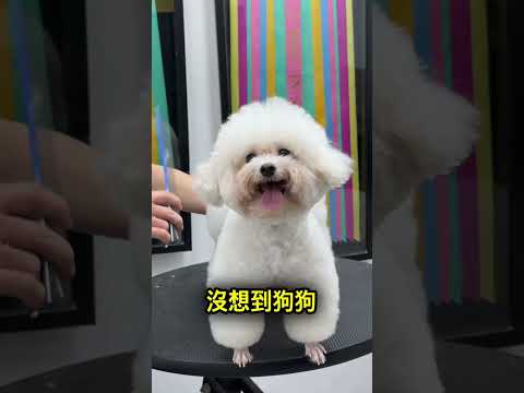 大家都笑他瘋了，結果成品美到不行… 😮