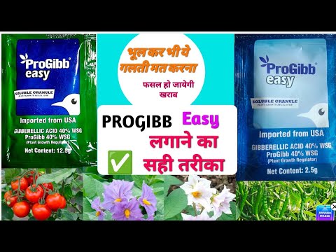 Chemical Fertilizers