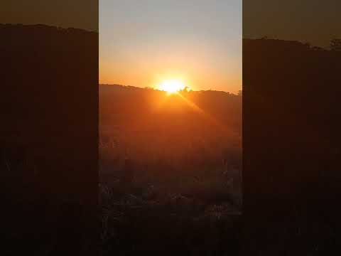 Chácara na saída de Goiânia Goiás indo para Araçu venha comprar seu c.f 26018 T 62 99330.9873