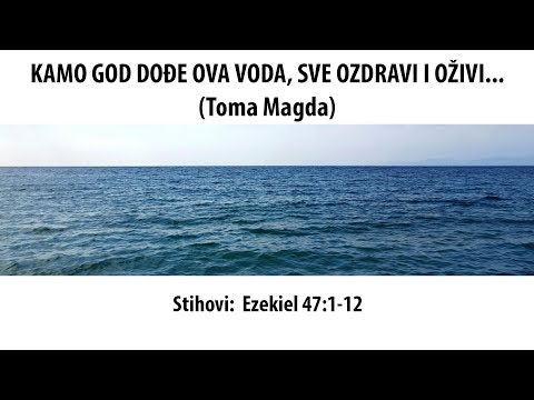 Kamo god dođe ova voda, sve ozdravi i oživi... (propovijed 10.03.2019) Toma Magda