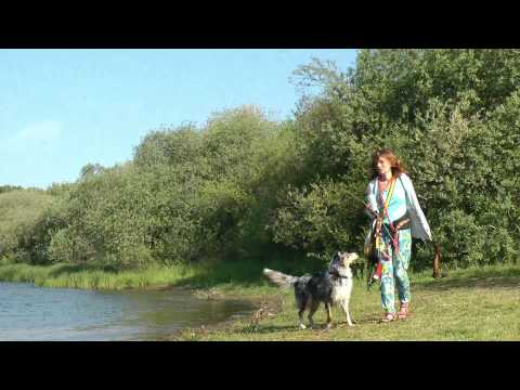 Hier shepherds! 3 wilde WASSER Hunde im Westerwald - Juni 2015