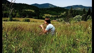 DDT - На небе вороны (Block flute (recorder) melody in Carpathian mountains)