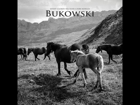 Video thumbnail for Bukowski